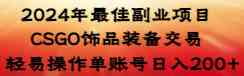 （8941期）2024年最佳副业项目 CSGO饰品装备交易 轻易操作单账号日入200+-副业心选