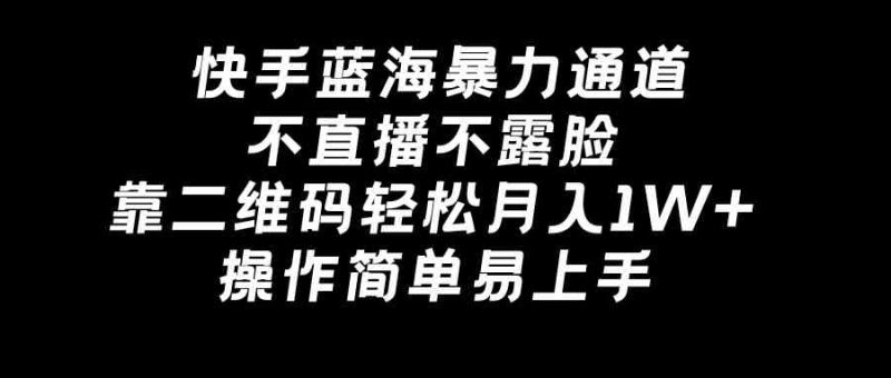 （8961期）快手蓝海暴力通道，不直播不露脸，靠二维码轻松月入1W+，操作简单易上手-副业心选