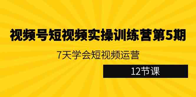 （9029期）视频号短视频实操训练营第5期：7天学会短视频运营（12节课） - 副业心选-副业心选
