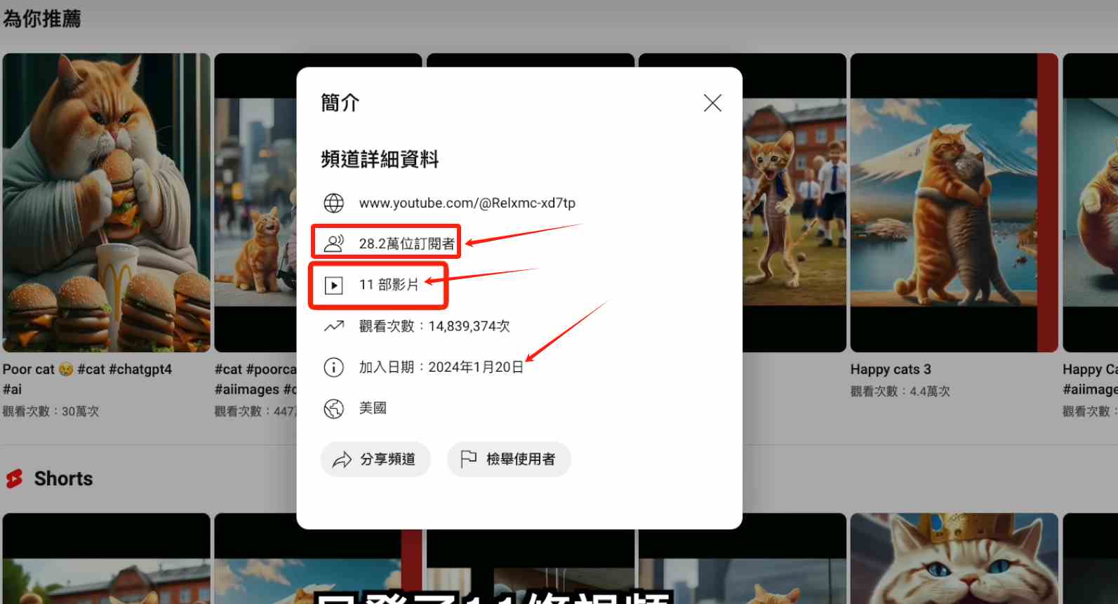 图片[2]-（9114期）AI貓咪剧情号，30天涨粉100w，制作简单，一个视频全网分发，轻松月入1W+ - 副业心选-副业心选
