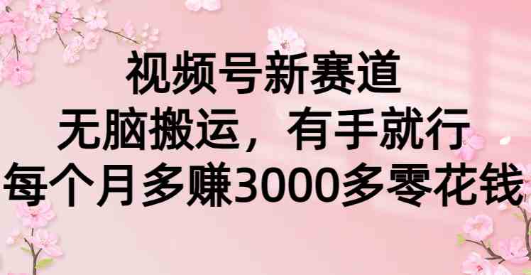 （9278期）视频号新赛道，无脑搬运，有手就行，每个月多赚3000多零花钱 - 副业心选-副业心选