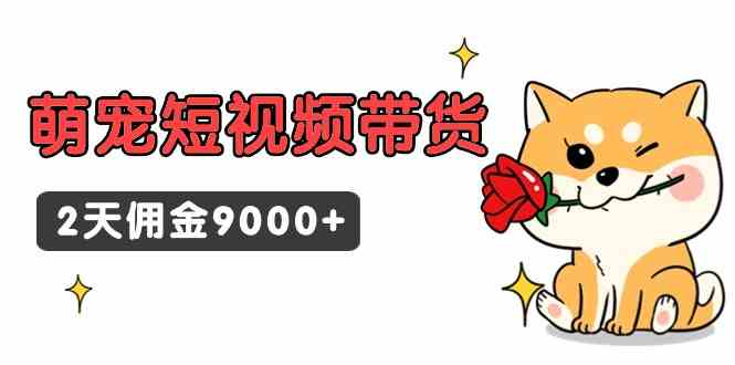 （9273期）东哲日记·萌宠短视频带货，2天佣金9000+ - 副业心选-副业心选