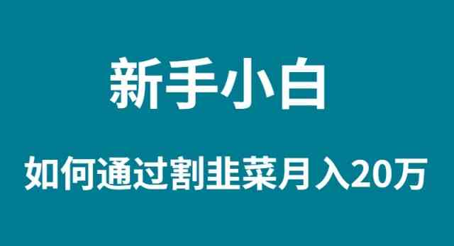 （9308期）新手小白如何通过割韭菜月入 20W-副业心选