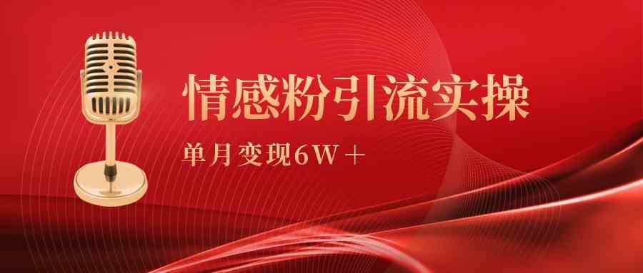 （9473期）单月变现6w+，情感粉引流变现实操课 - 副业心选-副业心选