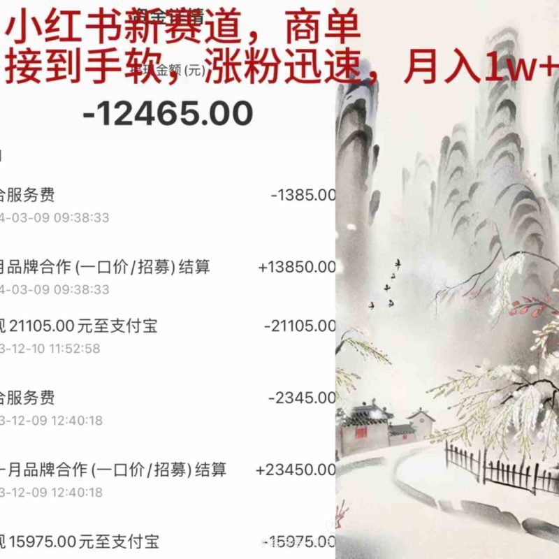 （9476期）小红书新赛道，商单接到手软，涨粉迅速，月入1w+-副业心选