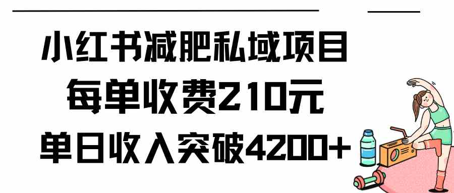 （9466期）小红书减肥私域项目每单收费210元单日成交20单，最高日入4200+ - 副业心选-副业心选