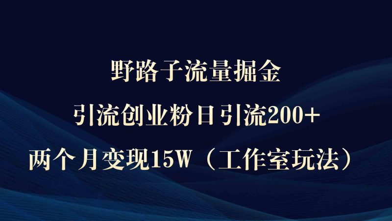 （9513期）野路子流量掘金，引流创业粉日引流200+，两个月变现15W（工作室玩法））-副业心选