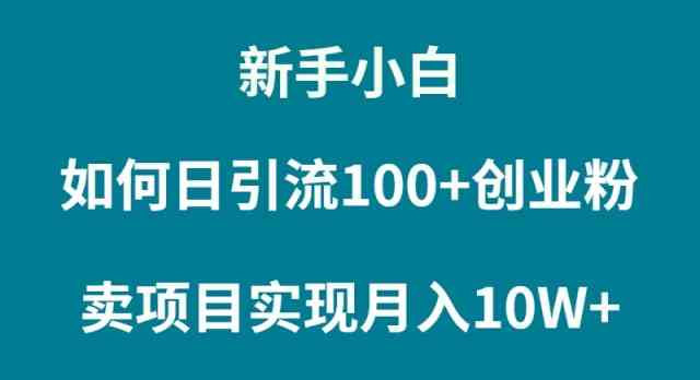 （9556期）新手小白如何通过卖项目实现月入10W+ - 副业心选-副业心选