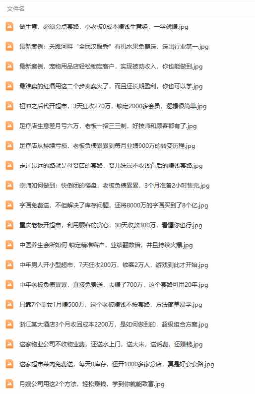 图片[5]-（9607期）真实有效391套商业模式，年入几十到几百万案例解析（电子书+视频+图文） - 副业心选-副业心选