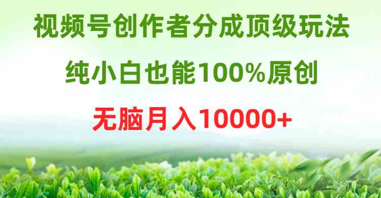 （9608期）视频号创作者分成顶级玩法，纯小白也能100%原创，无脑月入10000+-副业心选