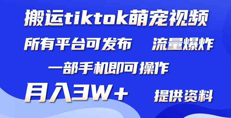 （9618期）搬运Tiktok萌宠类视频，一部手机即可。所有短视频平台均可操作，月入3W+ - 副业心选-副业心选