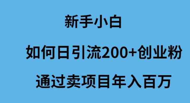 （9668期）新手小白如何日引流200+创业粉通过卖项目年入百万 - 副业心选-副业心选