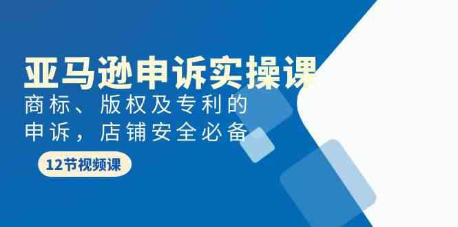 （9754期）亚马逊-申诉实战课，​商标、版权及专利的申诉，店铺安全必备 - 副业心选-副业心选