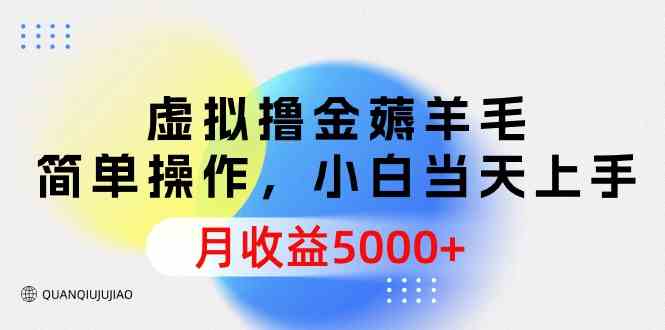 （9864期）虚拟撸金薅羊毛，简单操作，小白当天上手，月收益5000+ - 副业心选-副业心选
