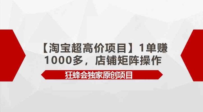 （9849期）【淘宝超高价项目】1单赚1000多，店铺矩阵操作-副业心选