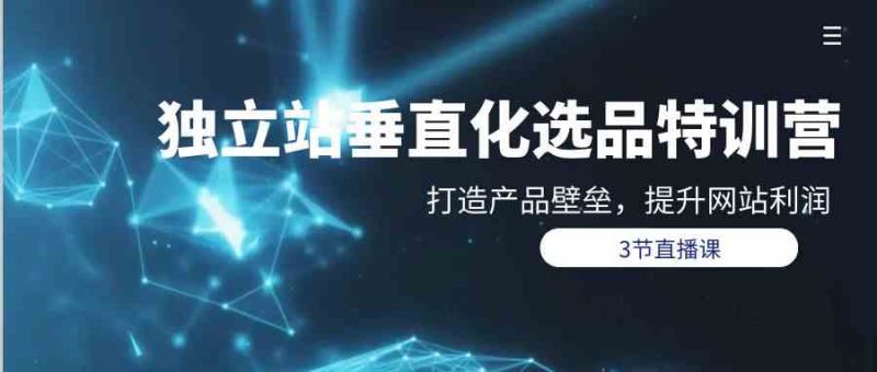（9925期）独立站-垂直化选品训练营，打造产品壁垒，提升网站利润（3节直播课）-副业心选