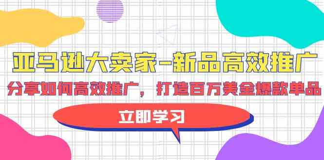 （9945期）亚马逊 大卖家-新品高效推广，分享如何高效推广，打造百万美金爆款单品-副业心选