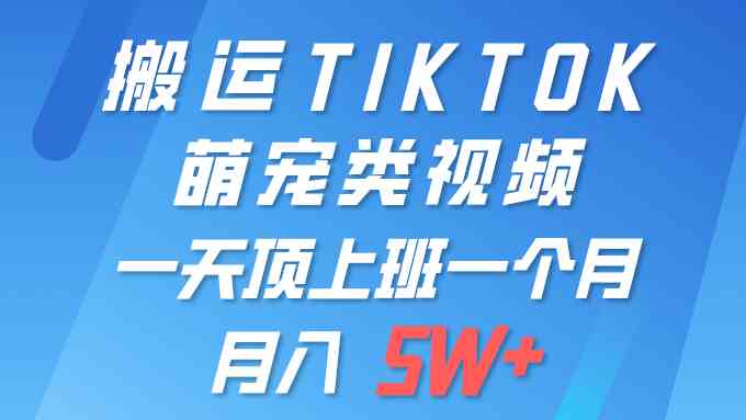 （9931期）一键搬运TIKTOK萌宠类视频 一部手机即可操作 所有平台均可发布 轻松月入5W+-副业心选