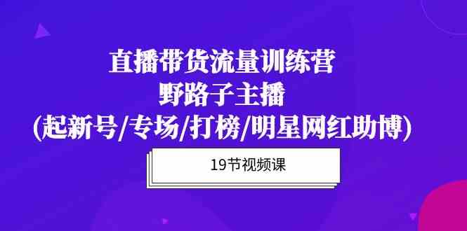 （10016期）直播带货流量特训营，野路子主播(起新号/专场/打榜/明星网红助博)19节课 - 副业心选-副业心选