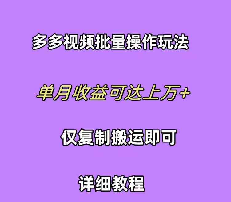 （10029期）拼多多视频带货快速过爆款选品教程 每天轻轻松松赚取三位数佣金 小白必… - 副业心选-副业心选