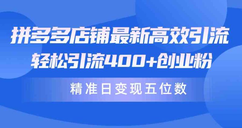 （10041期）拼多多店铺最新高效引流术，轻松引流400+创业粉，精准日变现五位数！-副业心选