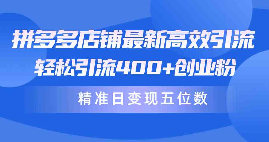 （10041期）拼多多店铺最新高效引流术，轻松引流400+创业粉，精准日变现五位数！ - 副业心选-副业心选