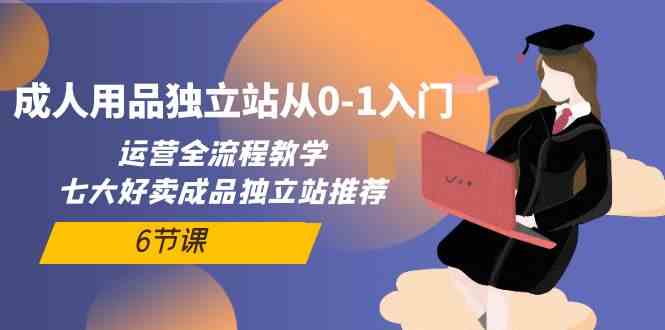 （10082期）成人用品独立站从0-1入门，运营全流程教学，七大好卖成品独立站推荐-6节课 - 副业心选-副业心选
