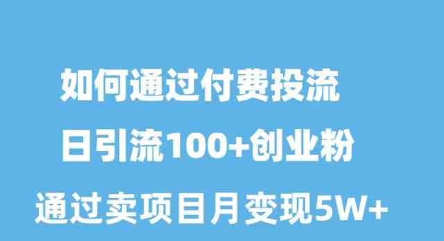 （10189期）如何通过付费投流日引流100+创业粉月变现5W+ - 副业心选-副业心选