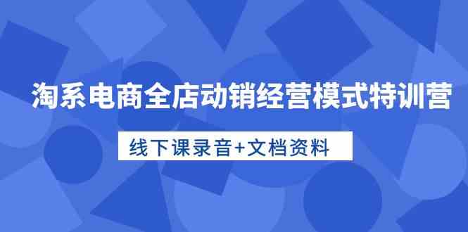 （10192期）淘系电商全店动销经营模式特训营，线下课录音+文档资料 - 副业心选-副业心选