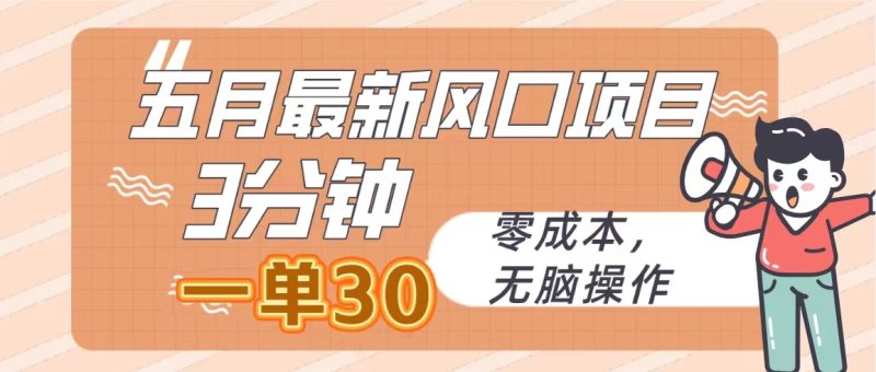 （10256期）五月最新风口项目，3分钟一单30，零成本，无脑操作-副业心选
