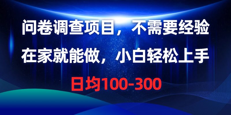 （10402期）问卷调查项目，不需要经验，在家就能做，小白轻松上手，日均100-300-副业心选