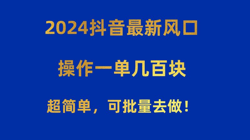 （10413期）2024抖音最新风口！操作一单几百块！超简单，可批量去做！！！-副业心选