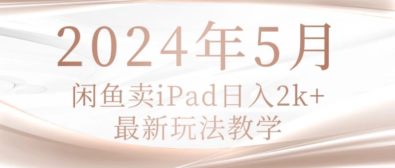 （10459期）2024年5月闲鱼卖ipad日入2k，最新玩法教学-副业心选
