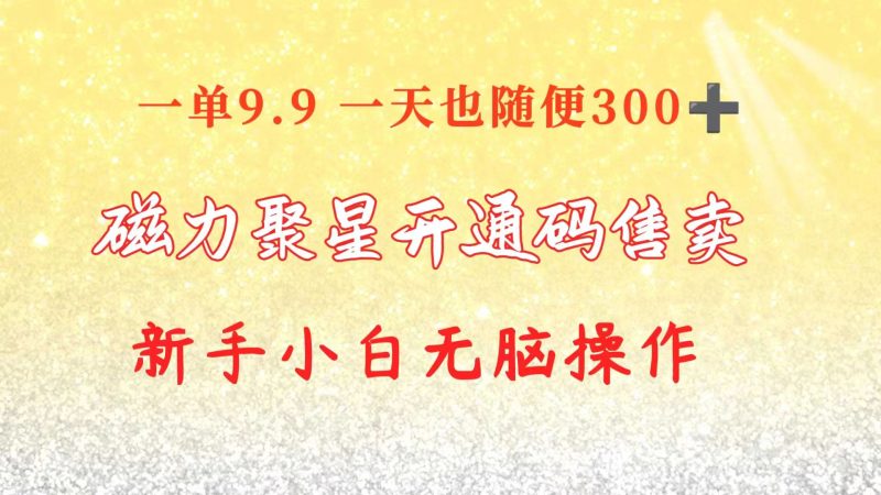 （10519期）快手磁力聚星码信息差 售卖  一单卖9.9  一天也轻松300+ 新手小白无脑操作-副业心选