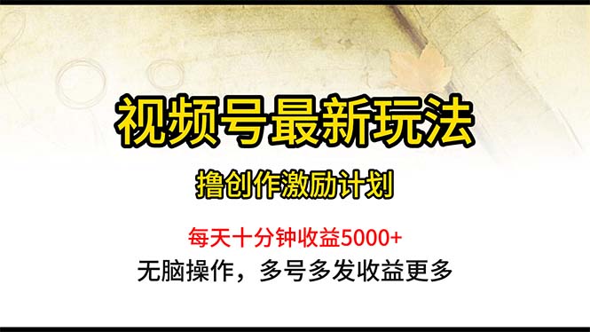 （10591期）视频号最新玩法，每日一小时月入5000+-副业心选