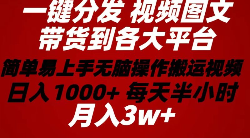 （10667期）2024年 一键分发带货图文视频  简单易上手 无脑赚收益 每天半小时日入1…-副业心选