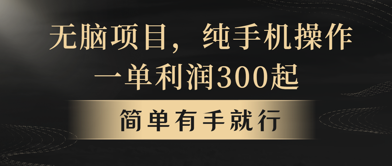 （10699期）无脑项目，一单几百块，轻松月入5w+，看完就能直接操作 - 副业心选-副业心选