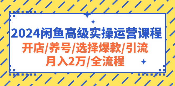 （10711期）2024闲鱼高级实操运营课程：开店/养号/选择爆款/引流/月入2万/全流程 - 副业心选-副业心选