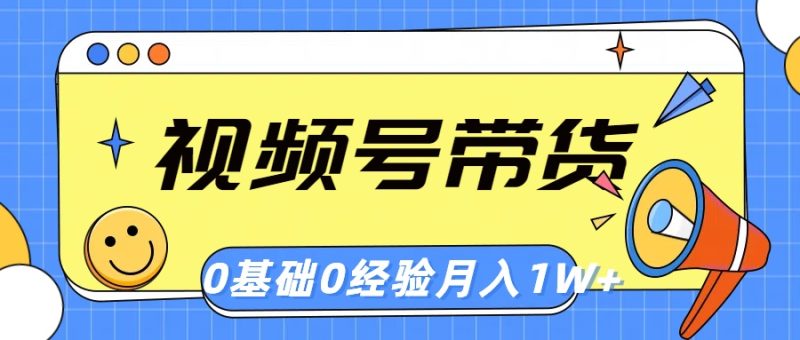 （10723期）视频号轻创业带货，零基础，零经验，月入1w+-副业心选