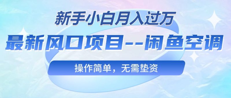 （10767期）最新风口项目—闲鱼空调，新手小白月入过万，操作简单，无需垫资-副业心选
