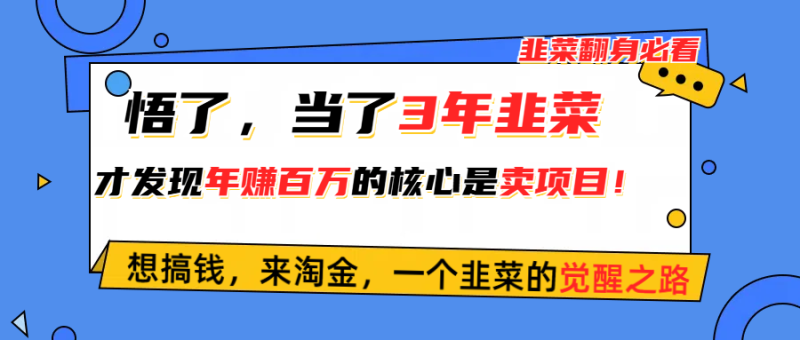 （10759期）悟了，当了3年韭菜，才发现网赚圈年赚100万的核心是卖项目，含泪分享！-副业心选