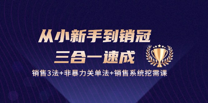 （10799期）从小新手到销冠 三合一速成：销售3法+非暴力关单法+销售系统挖需课 (27节)-副业心选
