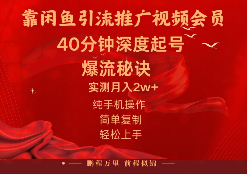 （10895期）闲鱼暴力引流推广视频会员，能做到日入2W+，操作简单-副业心选