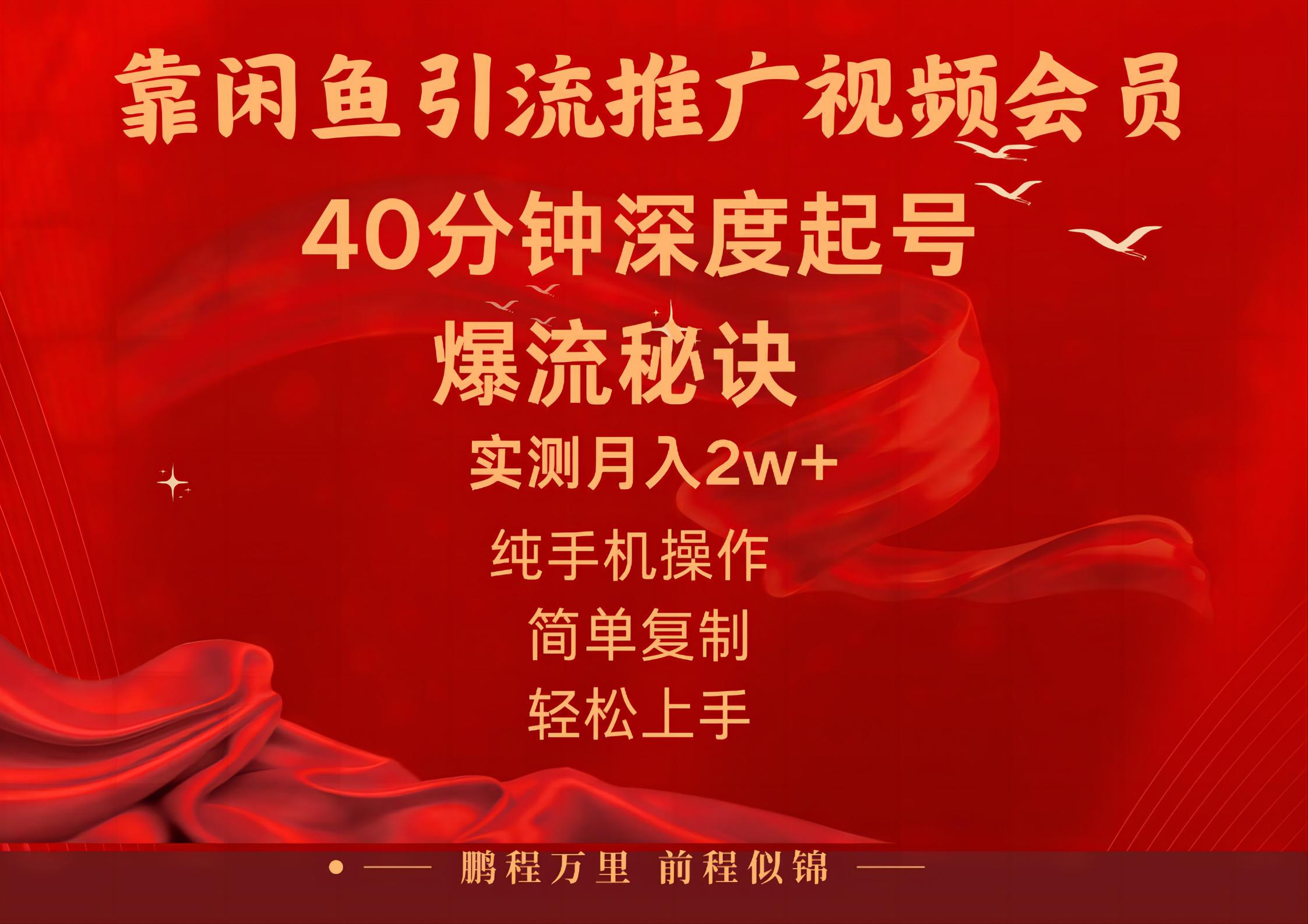 （10895期）闲鱼暴力引流推广视频会员，能做到日入2W+，操作简单 - 副业心选-副业心选