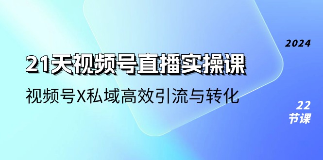 （10966期）21天-视频号直播实操课，视频号X私域高效引流与转化（22节课） - 副业心选-副业心选