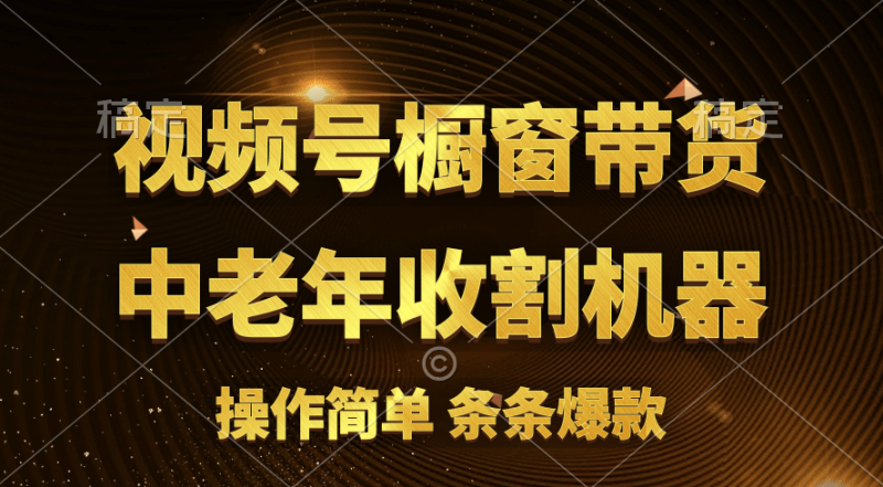 （11009期）[你的孩子成功取得高位]视频号最火爆赛道，橱窗带货，流量分成计划，条…-副业心选