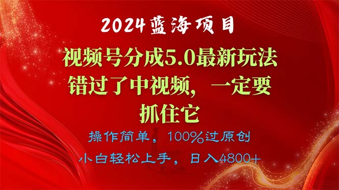 （11032期）2024蓝海项目，视频号分成计划5.0最新玩法，错过了中视频，一定要抓住… - 副业心选-副业心选