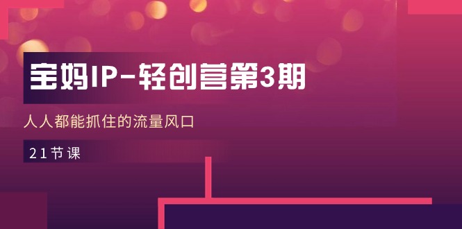 （11042期）宝妈IP-轻创营第3期，人人都能抓住的流量风口（21节课）-副业心选