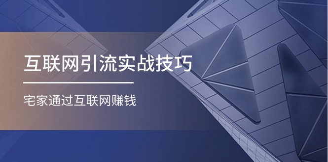 （11108期）互联网引流实操技巧(适合微商，吸引宝妈)，宅家通过互联网赚钱（17节）-副业心选