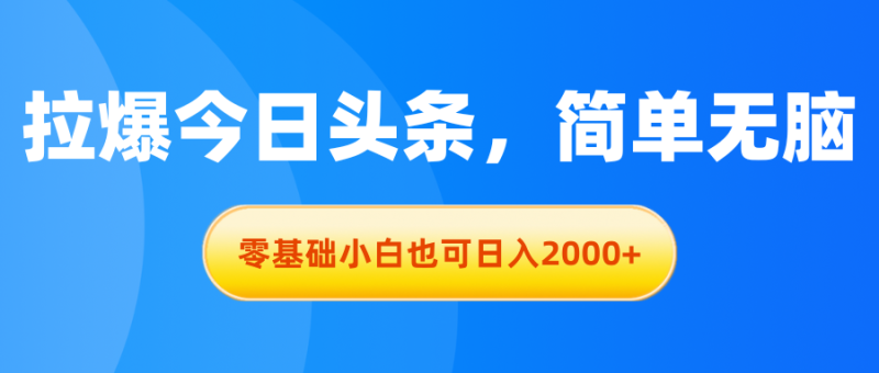 （11077期）拉爆今日头条，简单无脑，零基础小白也可日入2000+-副业心选